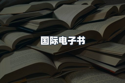 国际电子书